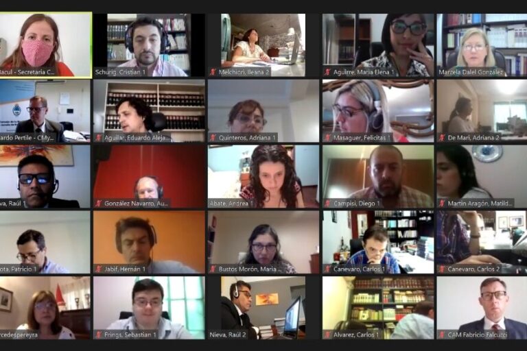 La sala principal de examen de Zoom, con postulantes y autoridades del CAM y de los Consejos del Chaco y de Santa Cruz
