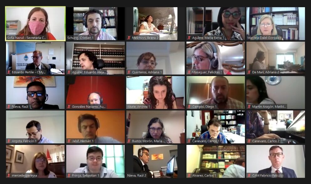 La sala principal de examen de Zoom, con postulantes y autoridades del CAM y de los Consejos del Chaco y de Santa Cruz