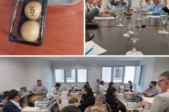 Proyecto - 11